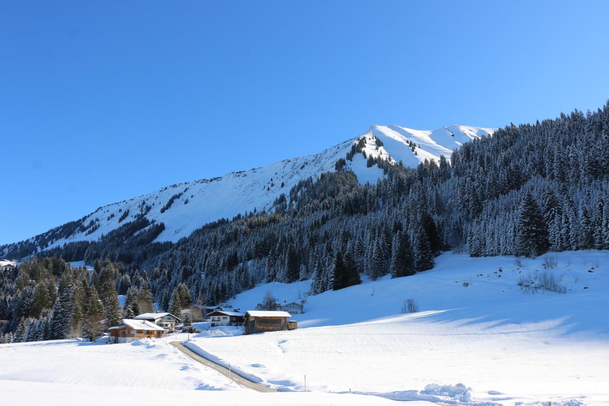 Gästehaus Alpina Riezlern Exterior foto